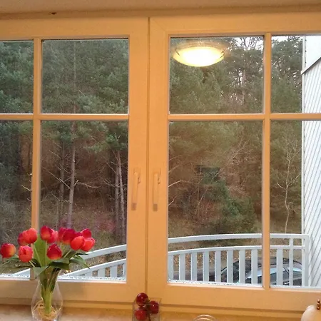 Haus Bellevue 22 아파트 *